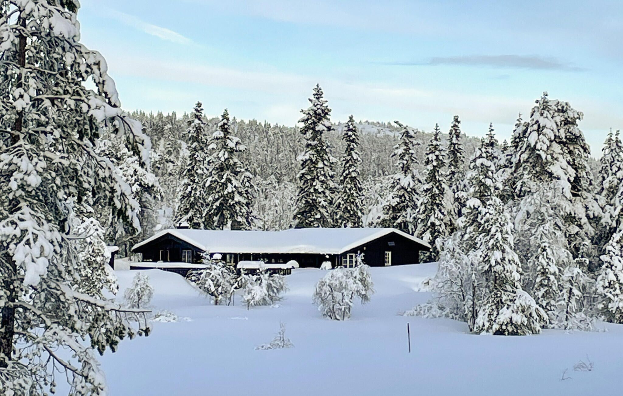 Un chalet enneigé, doté d’un grand toit, entouré d’une forêt dense de conifères.
