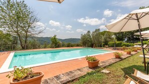 A rectangular swimming pool with a tiled border, surrounded by potted plants and outdoor furniture.