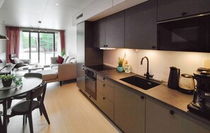 Fridge, dishwasher, coffee/tea maker - Amazing apartment in Bjorli (Bjorli)