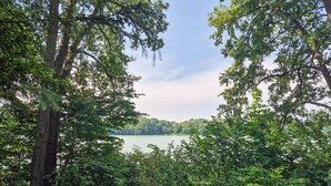 A natural landscape with dense foliage and a body of water in the background. - Cozy home in Plock with house a panoramic view (Plock)