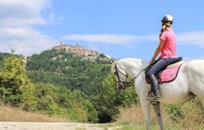 Unclassified image, 2 of 25, button