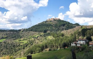 Unclassified image, 3 of 25, button