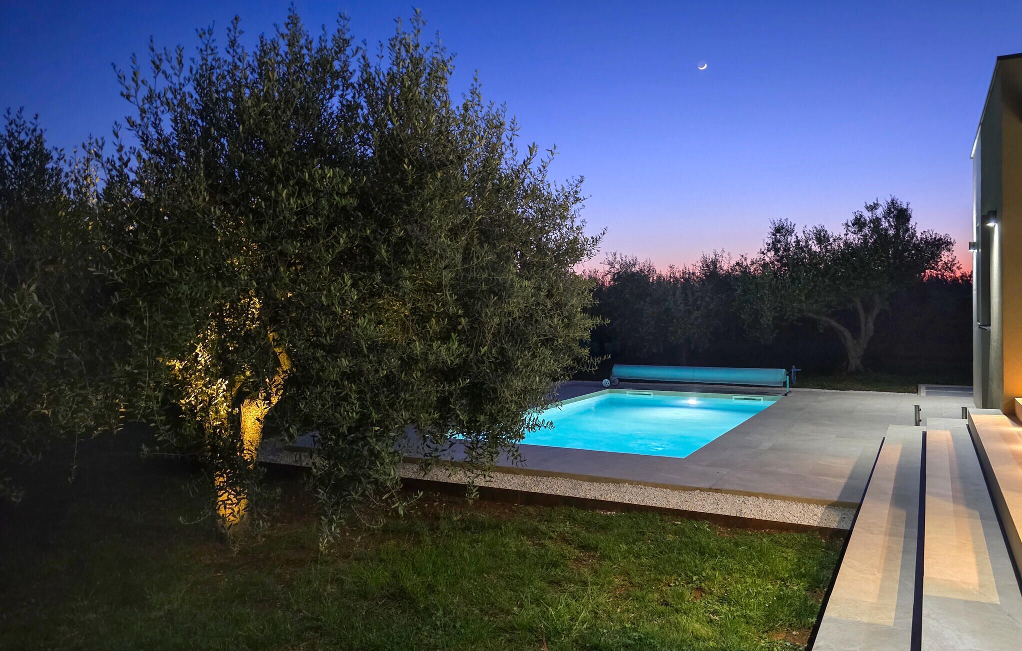 Une piscine à l’eau d’un bleu cristallin, entourée d’une pelouse bien entretenue et d’un grand arbre dont les feuilles sont illuminées.