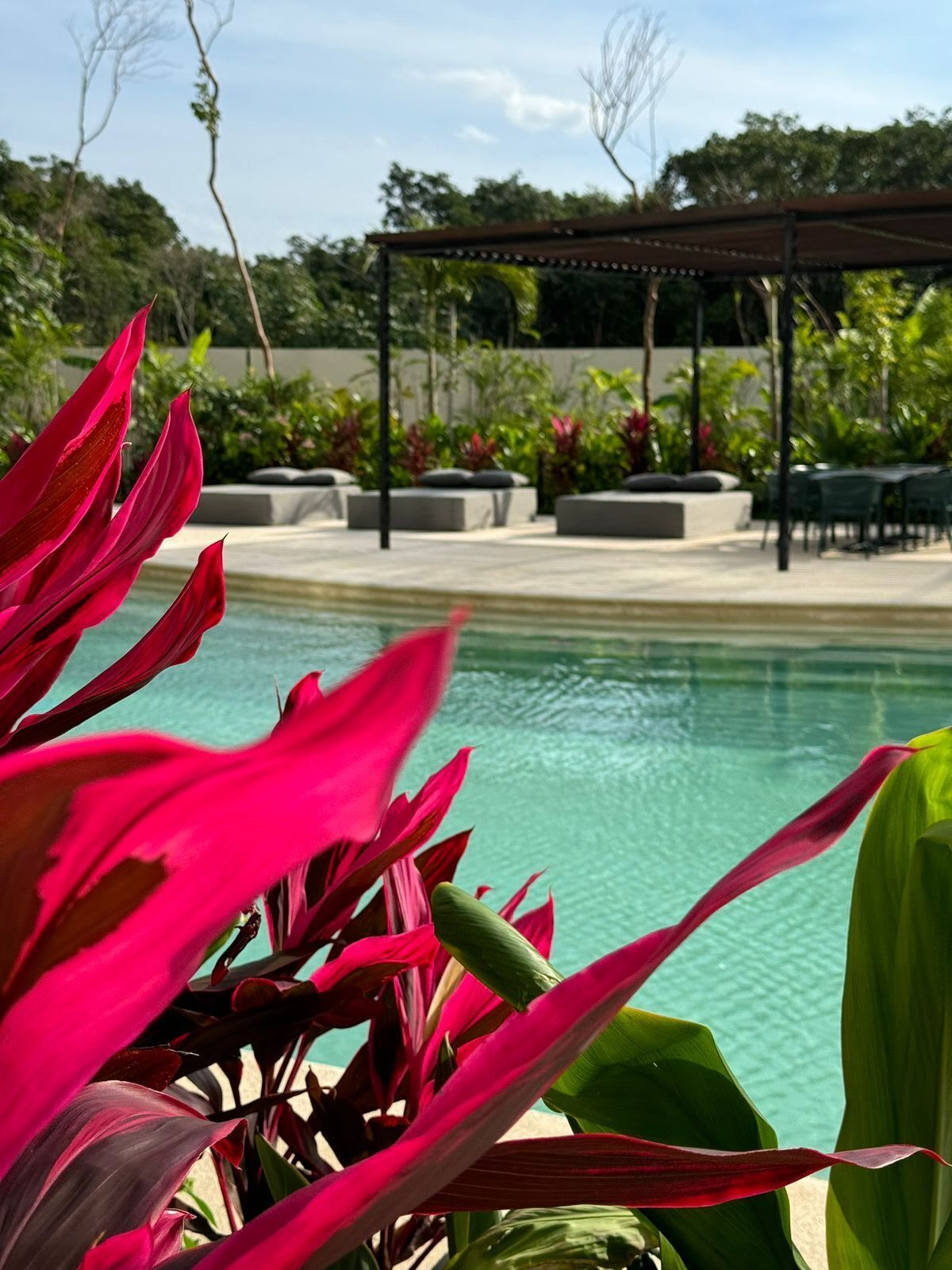Un área de piscina con pérgola y mobiliario.