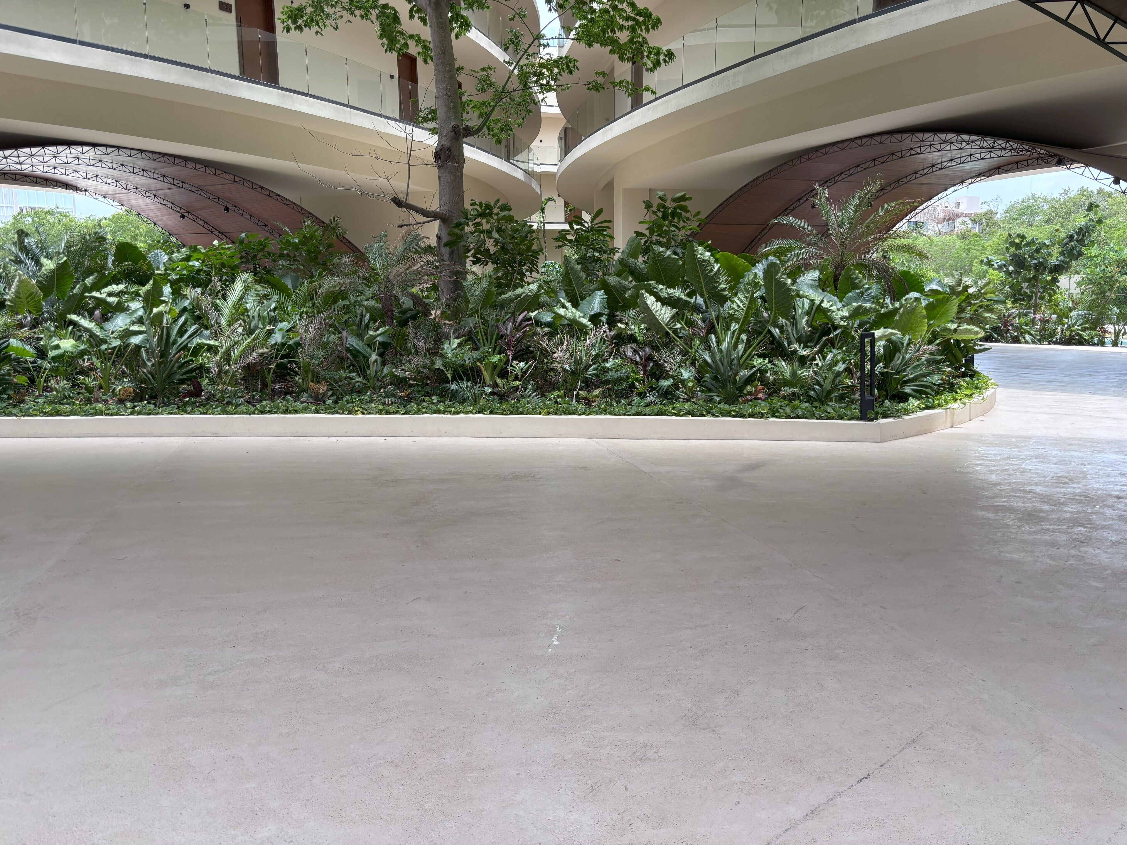 Un vaste espace intérieur doté d’un plafond incurvé, entouré d’une végétation luxuriante et recouvert d’un sol en béton.
