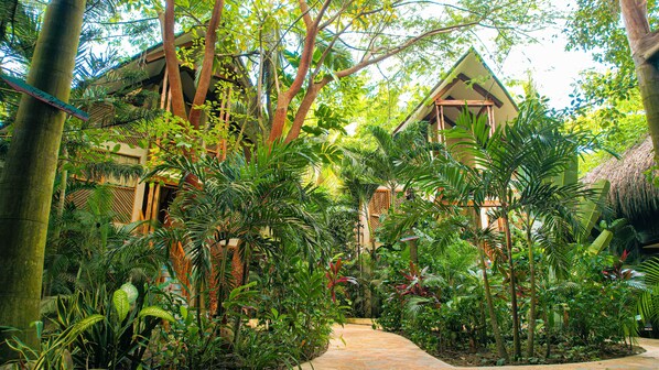 Un jardin luxuriant avec un sentier menant à un bâtiment dont le toit est recouvert de chaume.