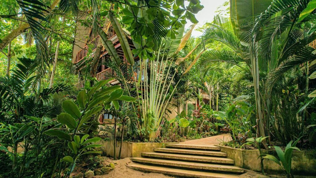 A lush garden with a concrete staircase leading to a building.