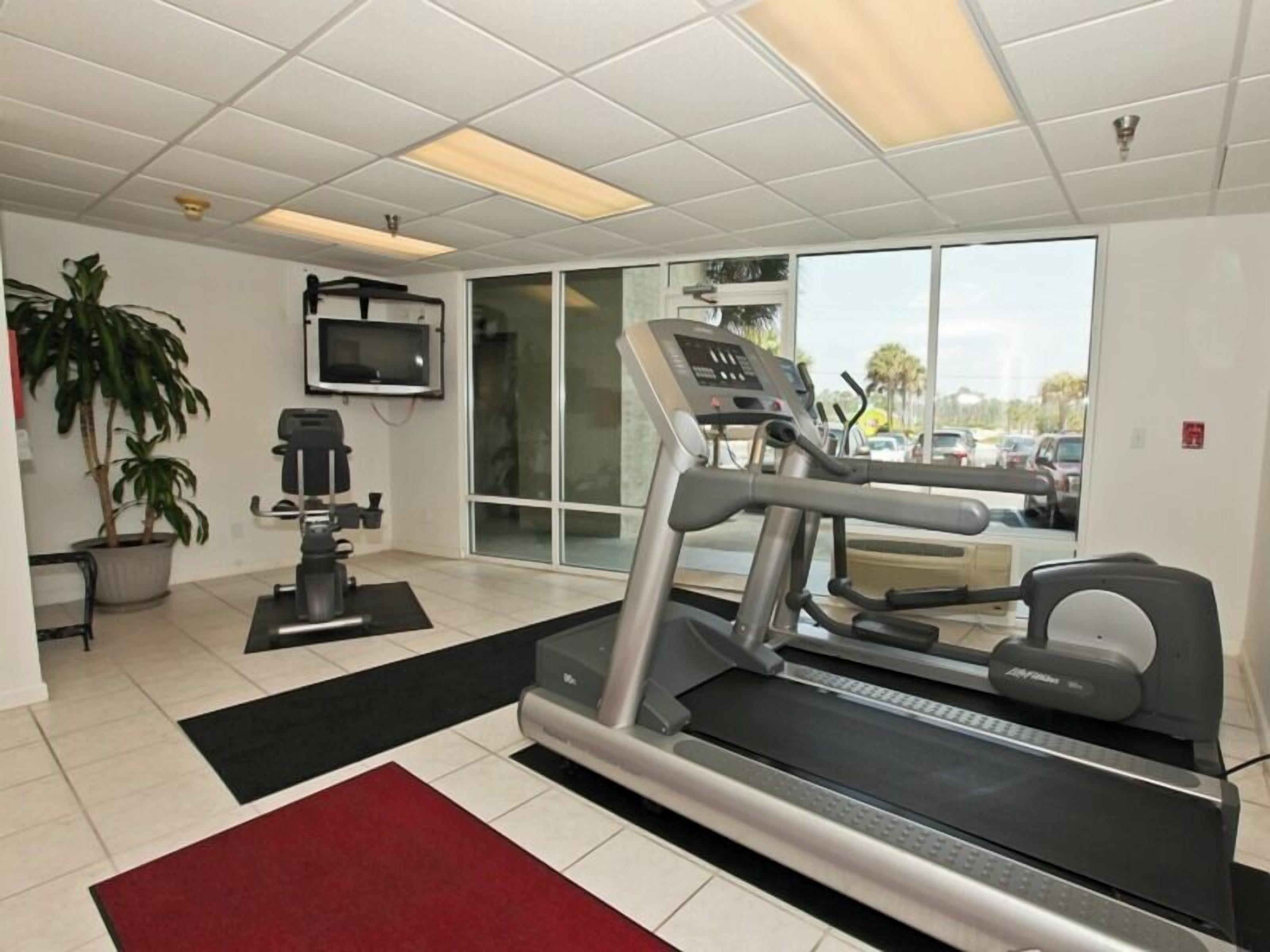 A gym with a treadmill, weights, and a TV.