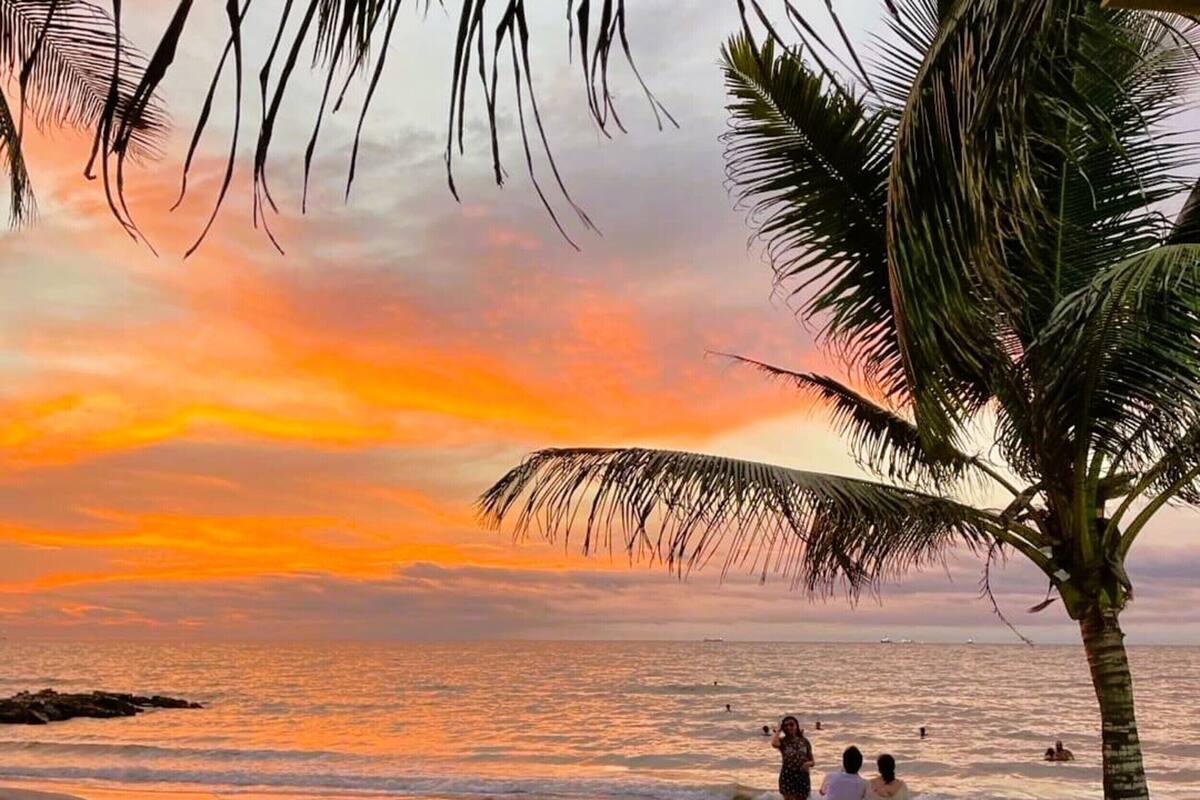 A beach scene with a sunset, palm trees, and people enjoying the beach.