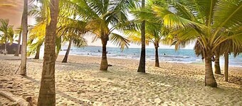 Escapada Perfecta- Apartasuites Privadas