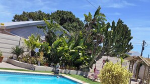 Una piscina rodeada de abundante vegetación, con cactus grandes y palmeras.