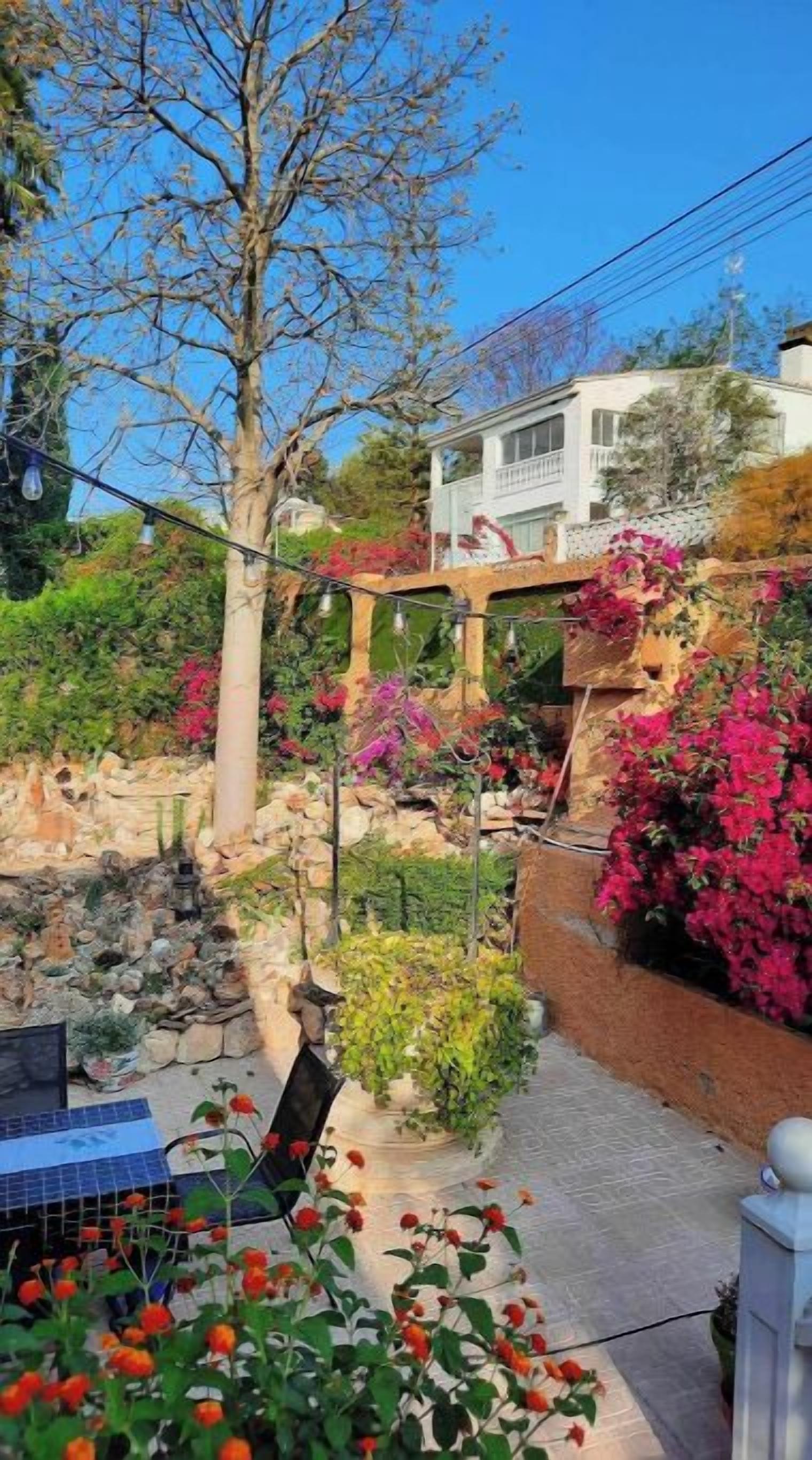 Áreas de la propiedad