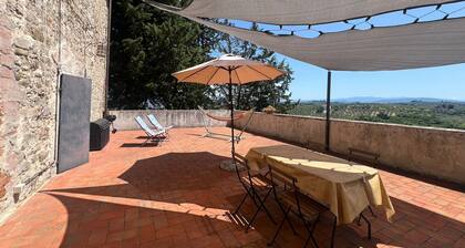 Wine Apartments Florence Lawrence
