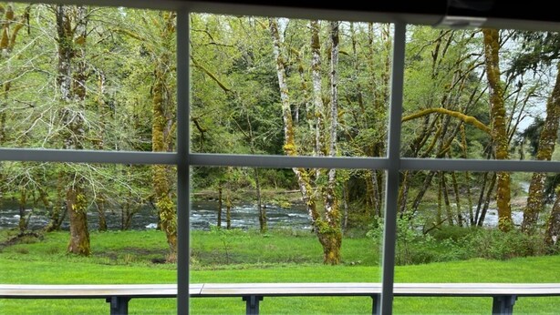 A view through a window with a wooden floor and a bench in the foreground.