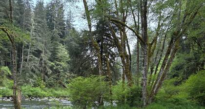 A Cozy 2-bedroom cabin with awesome private Sol Duc River's waterfront