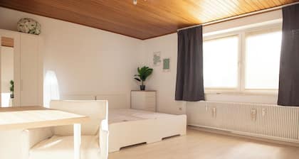 Bright, central 4-room apartment in Braunschweig
