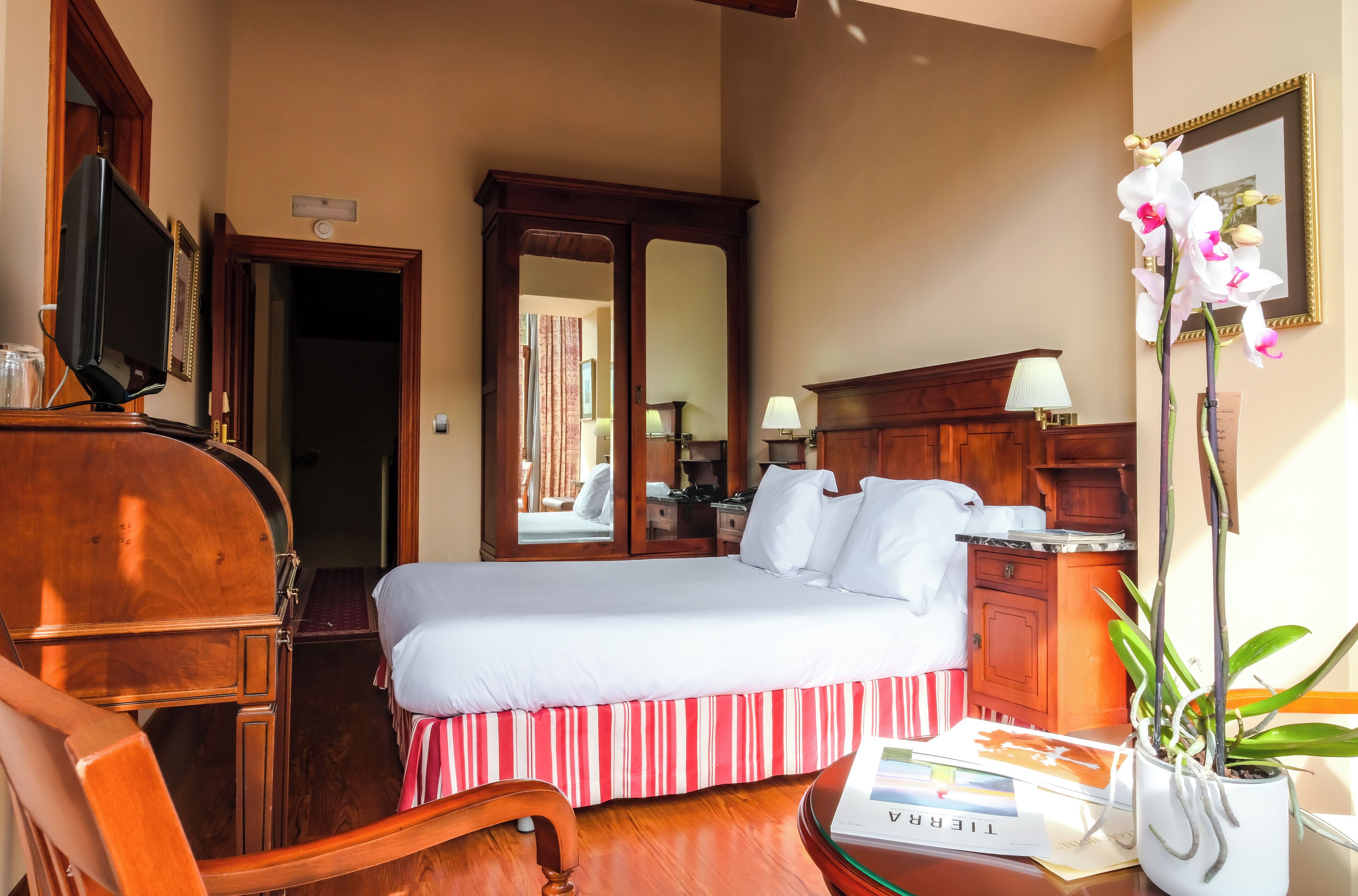 Habitación de hotel con cama, una silla de madera, un escritorio con lámpara, televisor y una orquídea en maceta.