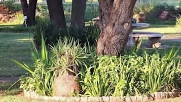 Basic Double Room, Patio, Mountain View | Garden view