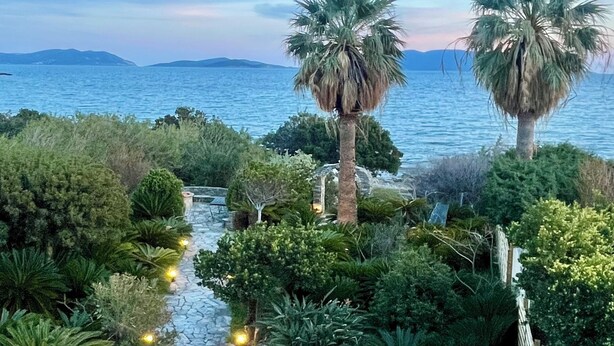 Un sentiero in pietra conduce a una spiaggia con palme e vista sul mare.
