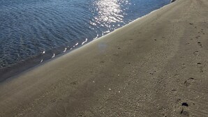 Una spiaggia con cielo sereno e acqua calma che riflette il sole.