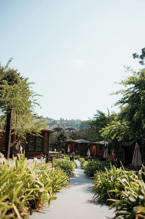 Property grounds - Pousada Chalés da Mantiqueira (Campos do Jordão)