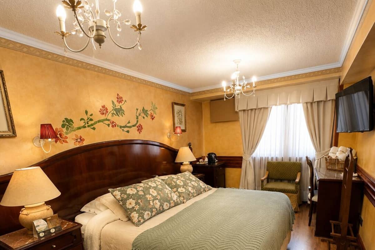 A hotel room with a bed, a nightstand, a lamp, a television, a chair, and a patterned rug.