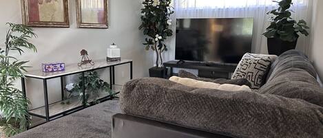 Smart TV, books