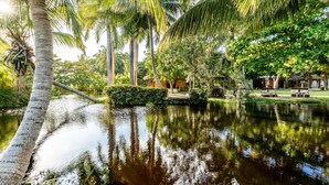 A serene tropical garden with a pond, palm trees, and a thatched-roof structure. - Kibayo Lagoon Villa in Cabarete (Sosúa)
