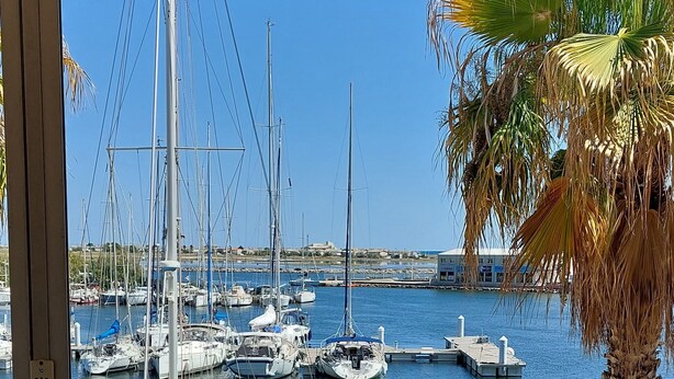 A marina with multiple sailboats docked, a palm tree, and a view of the water. - Charming studio with sea view, Gruissan (Gruissan)