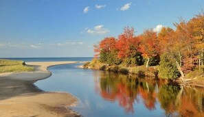 On the beach, sun-loungers, beach towels
