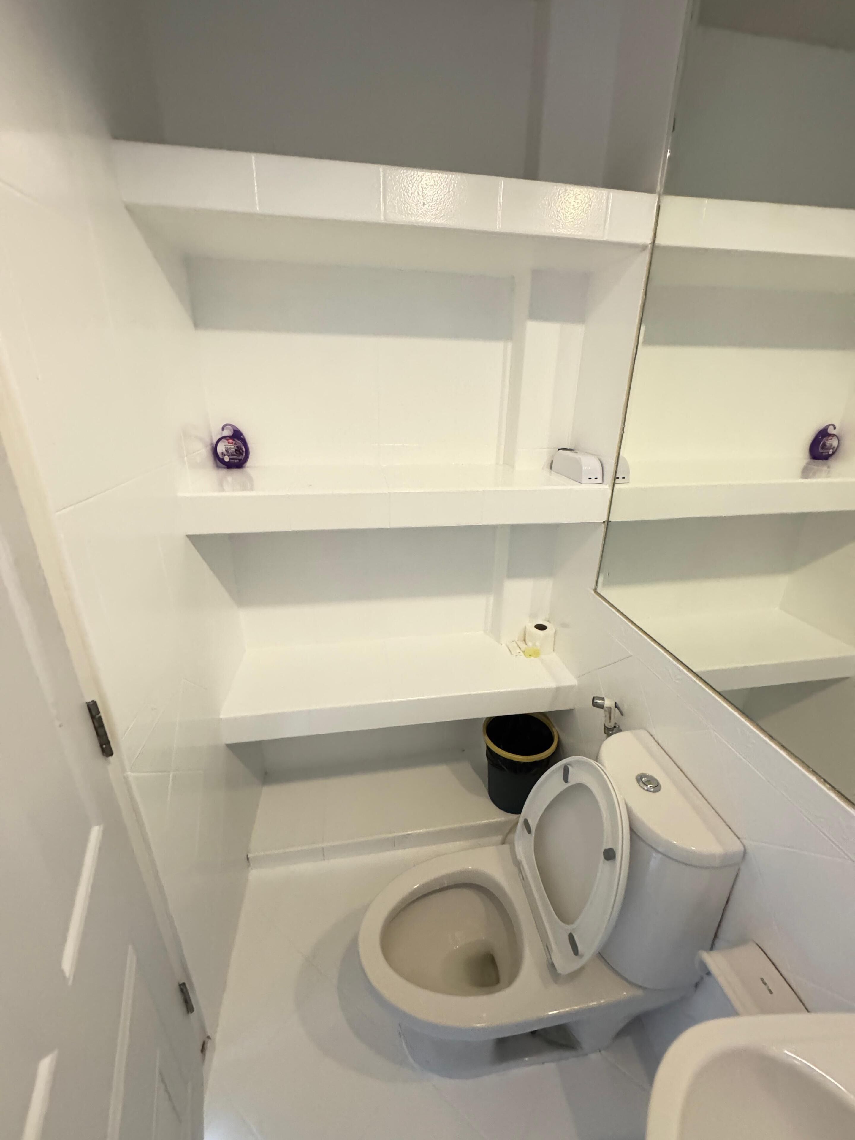 Un baño con inodoro, lavamanos y espejo. Hay repisas sobre el inodoro y un cubo negro debajo.