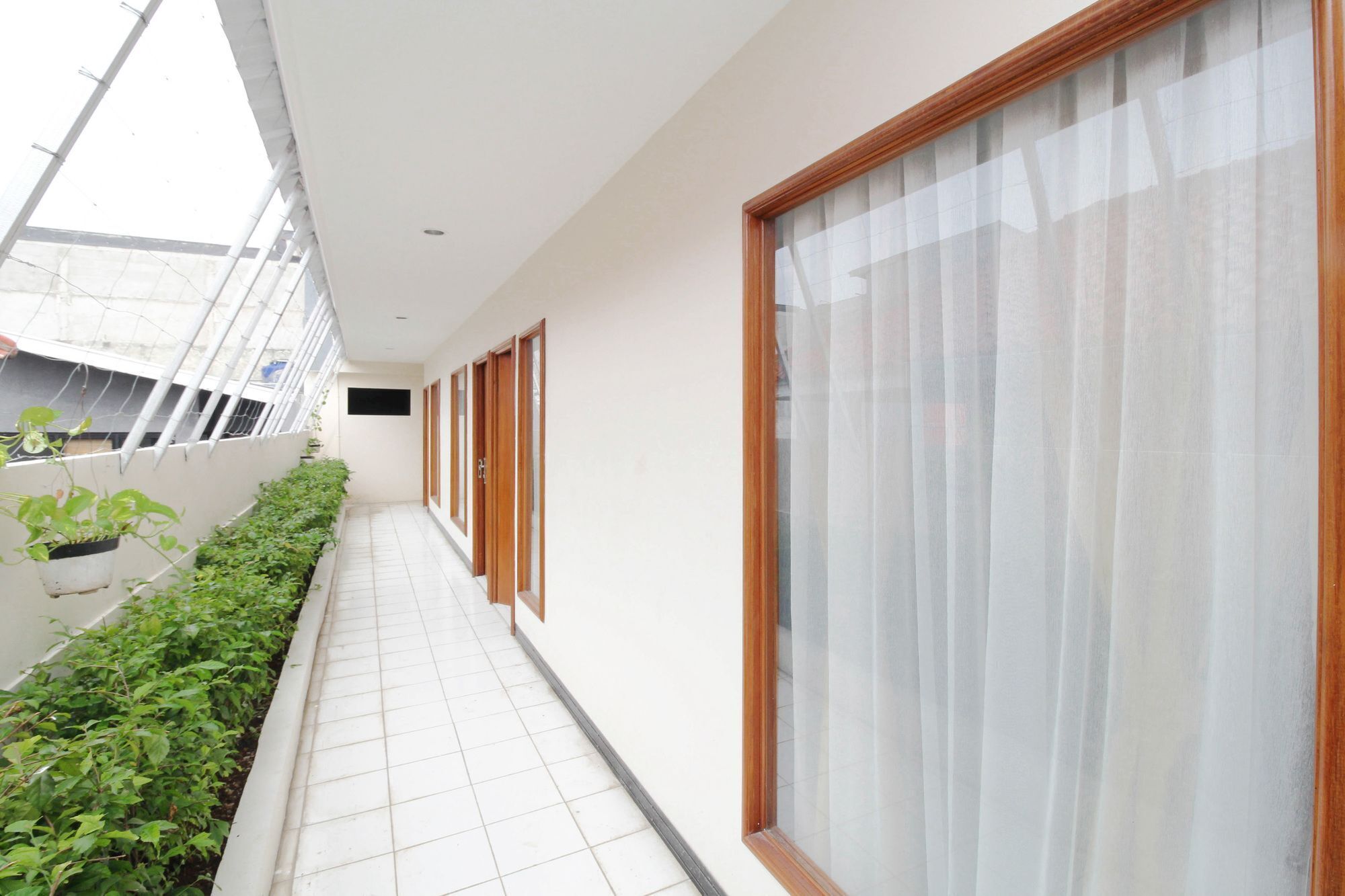 Un pasillo con suelo de baldosas blancas, ventanas de madera con cortinas traslúcidas y una fila de plantas verdes a la izquierda.