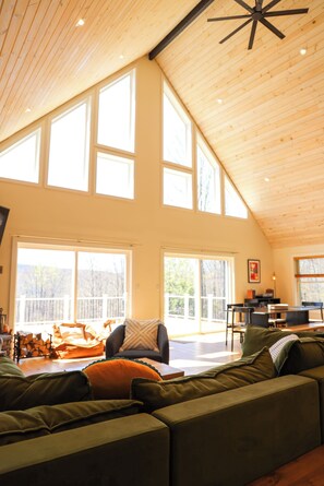 Smart TV, fireplace, books, music library