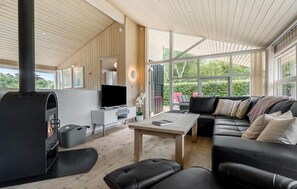 تلفزيون، مدفأة