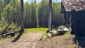 Eine rustikale Holzhütte mit einem Feldweg, der zu einer Schaukel aus Holz in einem bewaldeten Gebiet führt.