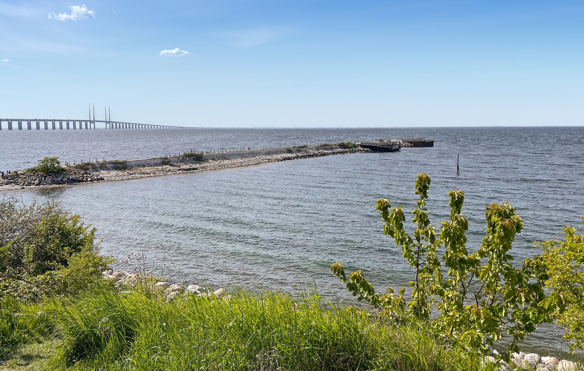 Vista costera con un muelle que se adentra en el agua, rodeado de vegetación y cielos despejados.