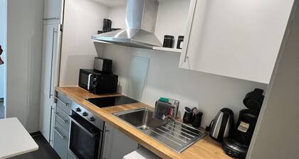 Mainz with cathedral view directly in the center