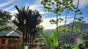 A lush garden with a variety of tropical plants and a small wooden structure. - Finca Viva. Private, tranquil Jungle Oasis! (Uvita Osa)