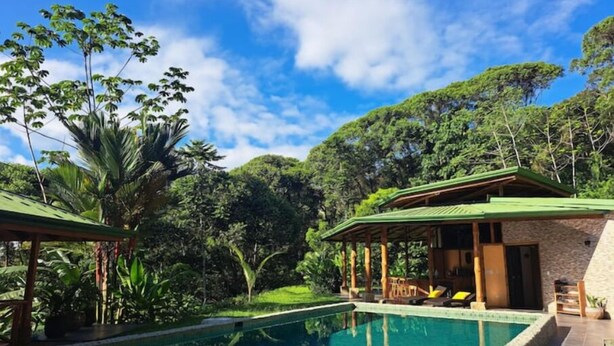 A clear swimming pool with a wooden deck, surrounded by lush greenery and a small pavilion. - Finca Viva. Private, tranquil Jungle Oasis! (Uvita Osa)