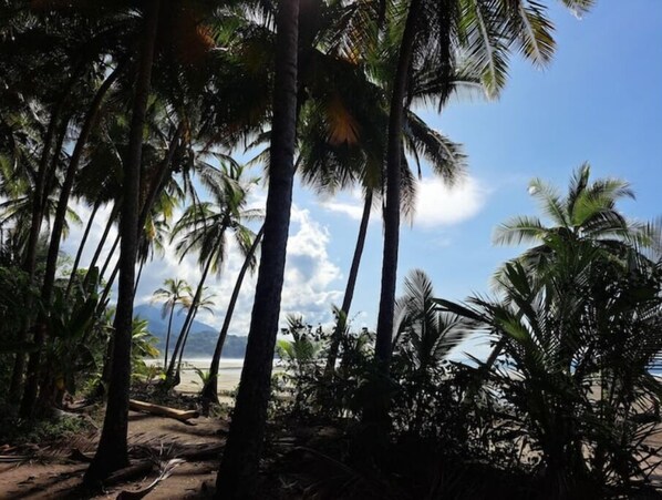 Plage
