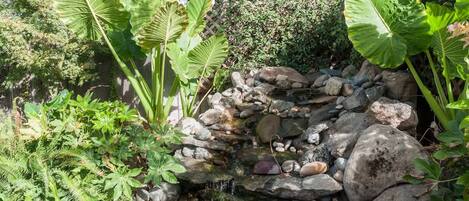 A garden with a small waterfall, large green leaves, and various plants.
