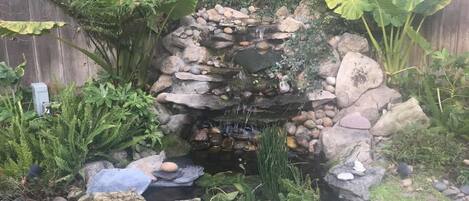 Casa | 4 habitaciones y internet