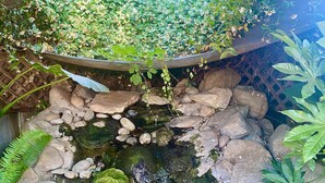 Un petit jardin d’intérieur agrémenté d’un élément aquatique, de rochers et de différentes plantes.
