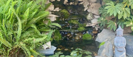 House | 3 bedrooms, Internet