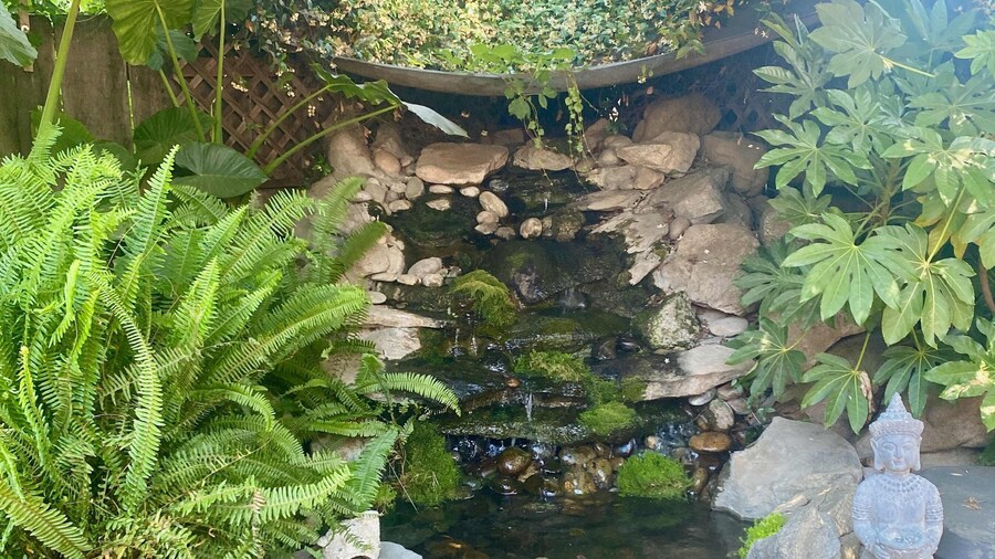 Seq公园-热水浴缸火坑锦鲤池户外厨房
