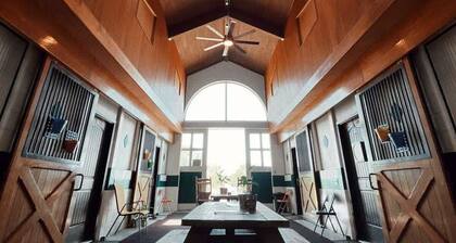 Horse Stall Suite 16 Disney = Great reviews!