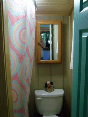 Shower, hair dryer