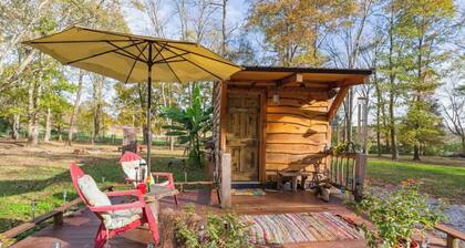 The Limerence Tiny House - The Legend!!