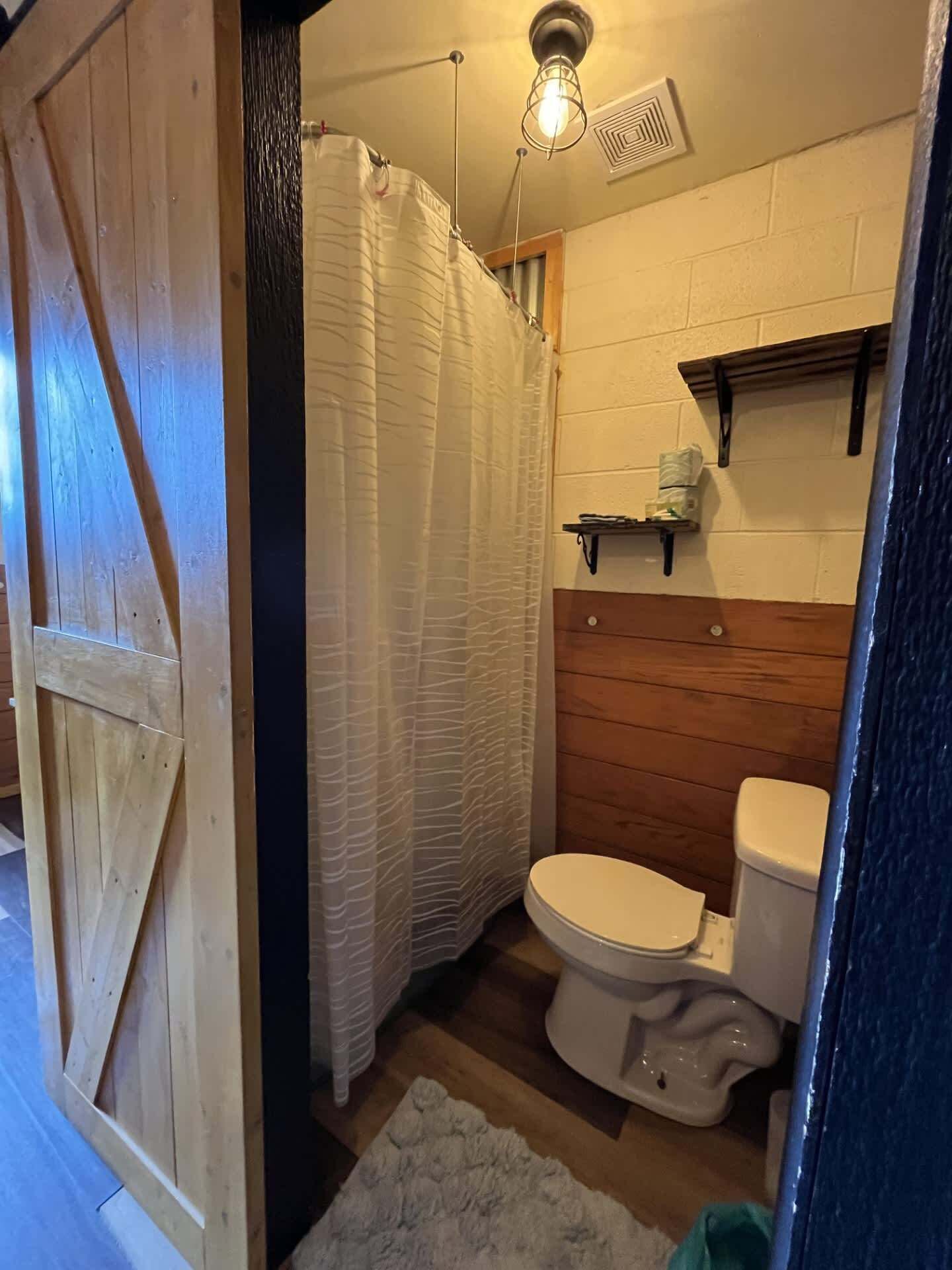 Douche, sèche-cheveux, shampoing