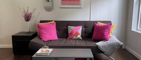 Smart TV, fireplace, books